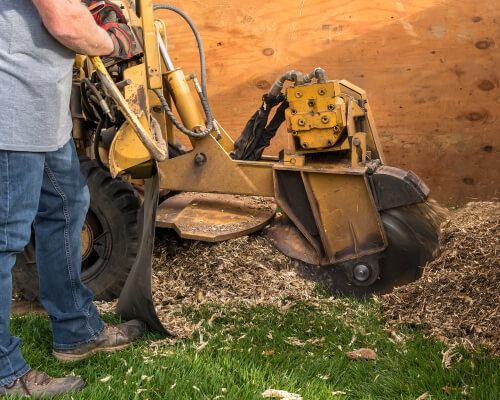 a man in jeans using a stump grinder to grind a stump